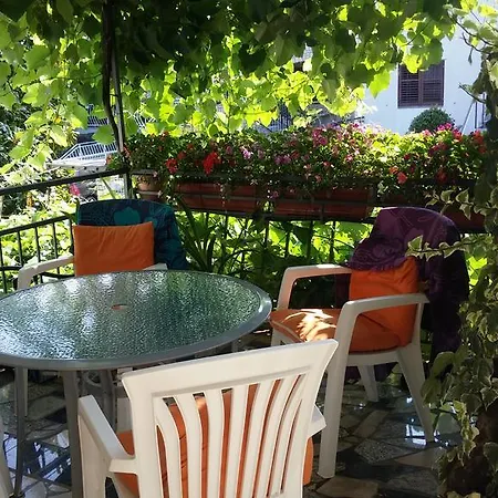 Timi * Porec